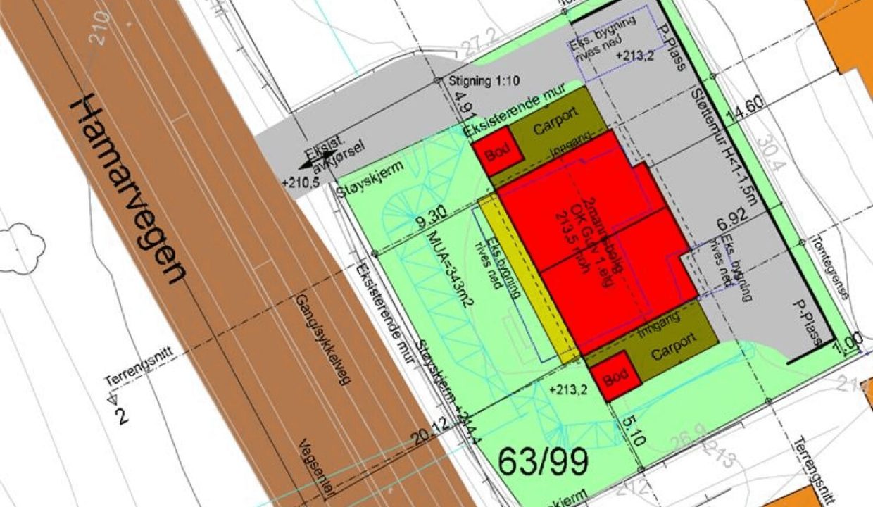 Forste bilde ingress 1