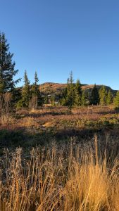 Høstferieaktiviteter 8 2