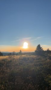 Høstferieaktiviteter 9 3